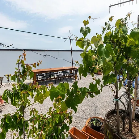 Bed & Breakfast The Liberty Terrace Udine